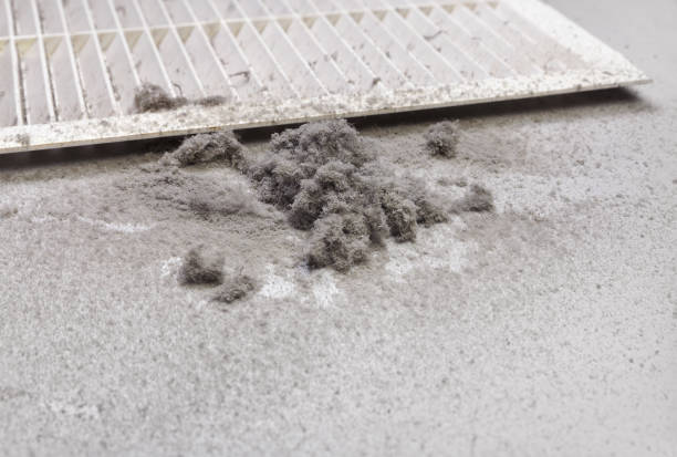 Best Affordable Duct Cleaning Services  in Garden View, PA