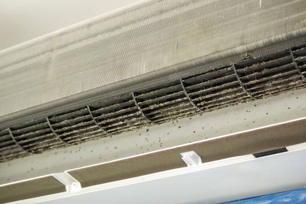 Best Air Duct Cleaning Near Me  in Garden View, PA